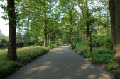 Zwembadlaan (2008)