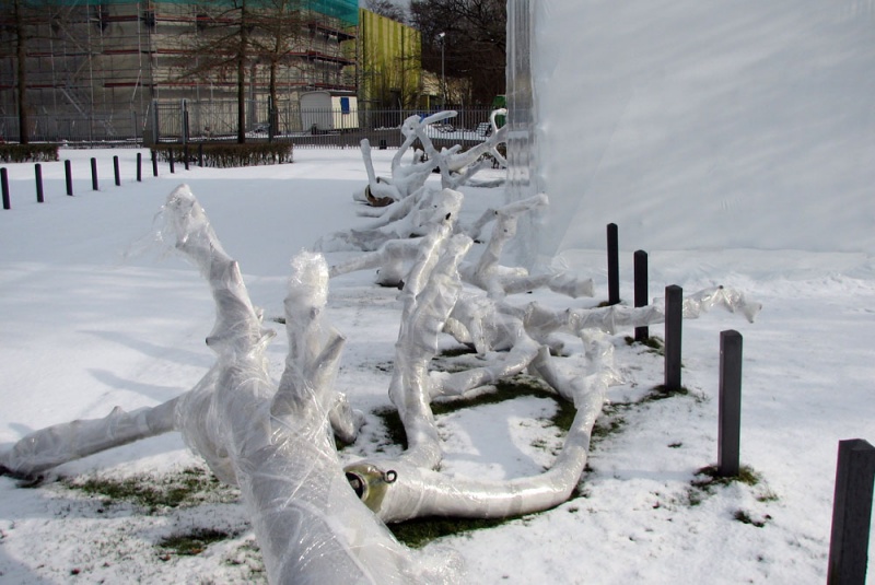 Bestand:Boom takken in sneeuw.jpg