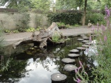 Eigen foto 2012