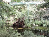 Eigen foto 2012