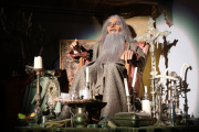 Overzichtsfoto van de animatronic van <a href="/lemma/Hugo_van_den_Loonsche_Duynen" title="Hugo van den Loonsche Duynen">Hugo van den Loonsche Duynen</a> in de <a href="/lemma/Tweede_voorshow_(Villa_Volta)" title="Tweede voorshow (Villa Volta)">tweede voorshow</a> van Villa Volta.