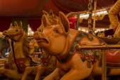 Het varken in de [[Stoomcarrousel] (Foto: Jos, 2013)