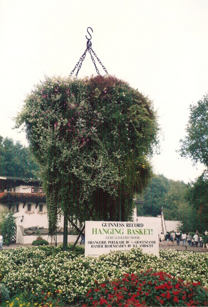 Bestand:Hangingbasket.jpg