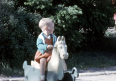 Hobbelpaard in de <a href="/lemma/Speeltuin" title="Speeltuin">Speeltuin</a> in <span class="redlink">1962</span>