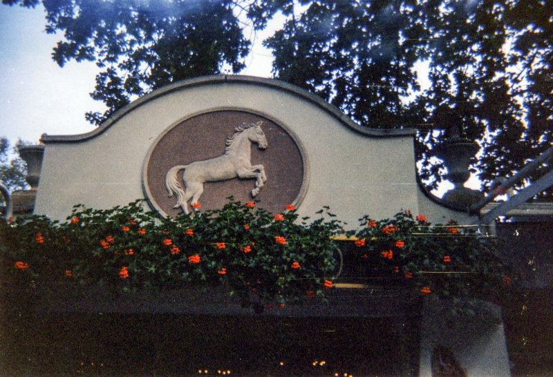 Bestand:Wittepaard051998.jpg