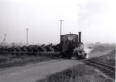 Aagje in bedrijf op steenfabriek IJsseloord. Het voorttrekken van kipkarren vol met klei. Foto Jaap Veen, november 1963.