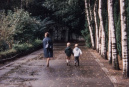 Het berkenpad richting <a href="/lemma/Doornroosje" title="Doornroosje">Doornroosje</a>, met oude poort, eind jaren zestig.