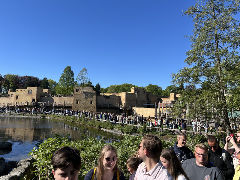Bestand:Hooghmoed-wachten-dag1.jpeg