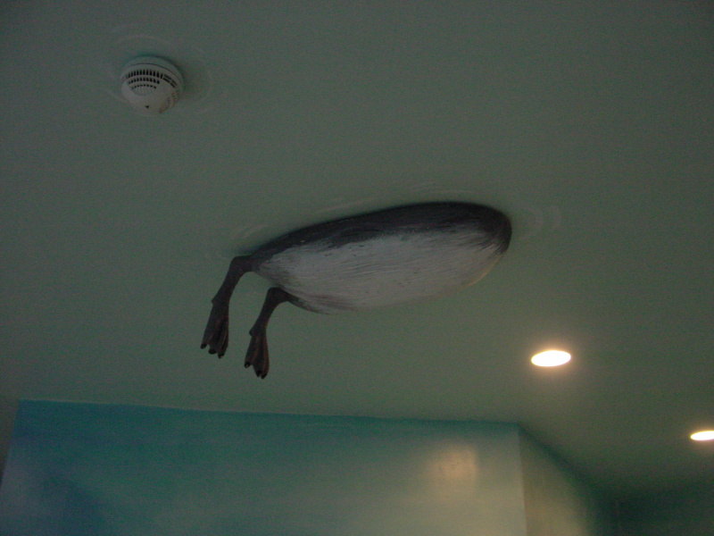 Bestand:Toiletgroep pandadroom waterspiegel 2002.jpg