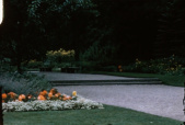 <a href="/lemma/Siertuin" title="Siertuin">Siertuin</a> met traptrede over het pad, begin jaren zestig
