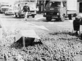 Foto uit De Telegraaf, 20-04-1984