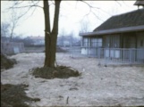 Screenshot uit video &#039;Python, Paddestoelen en Ingang 1975~1980&#039;