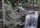 Wachter bij <a href="/lemma/Doornroosje" title="Doornroosje">Doornroosje</a> in <a href="/lemma/1974" title="1974">1974</a>