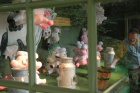 Eigen foto 2012