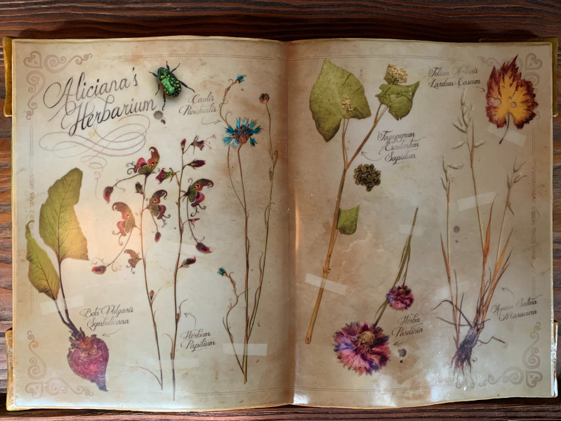 Bestand:Alicianas-herbarium.jpeg