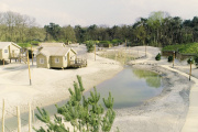 Enkele <a href="/lemma/Duinzicht" title="Duinzicht">Duinzicht</a>-huisjes en <a href="/lemma/Duinhut" title="Duinhut">Duinhutten</a> in <a href="/lemma/Efteling_Loonsche_Land" title="Efteling Loonsche Land">Efteling Loonsche Land</a>, kort na de bouw