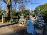 Potkachel aan Dubbele Laan in december 2019 - Foto: Eftepedia