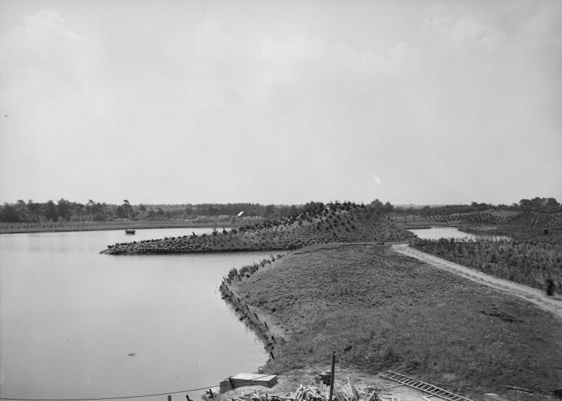 Bestand:Siervijver-1953-eiland.jpg
