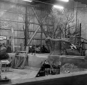 Het opbouwen van het decor van <a href="/lemma/De_Indische_Waterlelies" title="De Indische Waterlelies">De Indische Waterlelies</a> is begonnen.
