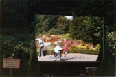 <a href="/lemma/Fotospiegel" title="Fotospiegel">Fotospiegel</a> in <span class="redlink">1989</span>
