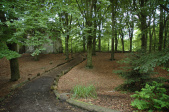 <a href="/lemma/Heksenpad" title="Heksenpad">Heksenpad</a> achter <a href="/lemma/Spookslot" title="Spookslot">Spookslot</a>, 2012