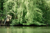 eigen foto