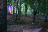 <a href="/lemma/Heksenpad" title="Heksenpad">Heksenpad</a> op een <a href="/lemma/Zomeravond" class="mw-redirect" title="Zomeravond">zomeravond</a>, augstus<a href="/lemma/2009" title="2009">2009</a>