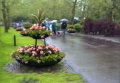 Grote plantenbakken tussen de <a href="/lemma/Speelweide" title="Speelweide">Speelweide</a> en de <a href="/lemma/Dubbele_Laan" title="Dubbele Laan">Dubbele Laan</a> in <a href="/lemma/1991" title="1991">1991</a>