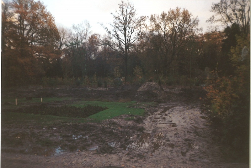 Bestand:Bouwnachtegaal1.jpg