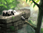 Ontwerp voor de hoofdshow van <a href="/lemma/Fabula" title="Fabula">Fabula</a>: panda-pa en panda-ma bezorgd om hun jong.