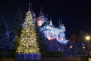 De Wonder Winterboom, een negen meter hoge kerstboom, staat op het <a href="/lemma/Hartenhof_(plein)" title="Hartenhof (plein)">Hartenhof-pleintje</a> naast <a href="/lemma/Symbolica" title="Symbolica">Symbolica</a> tijdens <a href="/lemma/Winter_Efteling_2024-2025" title="Winter Efteling 2024-2025">Winter Efteling 2024-2025</a>.