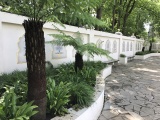 Boomvarens op het plein voor de Indische Waterlelies in mei 2017