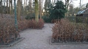 <a href="/lemma/Wandelwagenstalling" title="Wandelwagenstalling">Wandelwagenstalling</a> bij <a href="/lemma/Symbolica" title="Symbolica">Symbolica</a>.