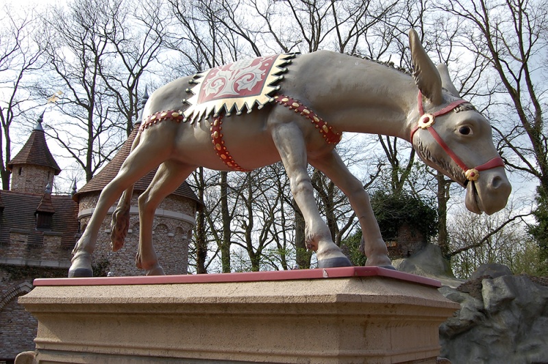 Bestand:Ezelclose.jpg
