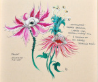 Ontwerp voor de zingende spookbloemen uit augustus 1975 door <a href="/lemma/Ton_van_de_Ven" title="Ton van de Ven">Ton van de Ven</a>, deze zijn gedeeltelijk gerealiseerd in de hoofdshow van het Spookslot. Bron: Efteling Museum in 2011