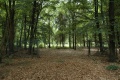 Terrein van voormalig bungalowpark <a href="/lemma/Het_Kraanven" title="Het Kraanven">Het Kraanven</a>, zomer 2009