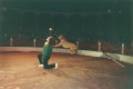 <a href="/lemma/Het_Groot_Efteling_Zomercircus" title="Het Groot Efteling Zomercircus">Het Groot Efteling Zomercircus</a> in <a href="/lemma/1993" title="1993">1993</a>