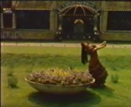 Bron: &#039;Rendez-vous romantique met Wilma Driessen&#039; (1972) Chanson Espagnole https://www.youtube.com/watch?v=myS2qIR1vcA