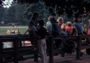 Wachtrij van de <a href="/lemma/Kanovijver" title="Kanovijver">Kanovijver</a> in <a href="/lemma/1973" title="1973">1973</a>. Linksachter zijn stallen van <a href="/lemma/Rijsporthoeve_De_Efteling" title="Rijsporthoeve De Efteling">Rijsporthoeve De Efteling</a> te zien.