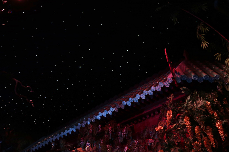 Bestand:Chinese Nachtegaal Interieur Sterrenhemel.jpg