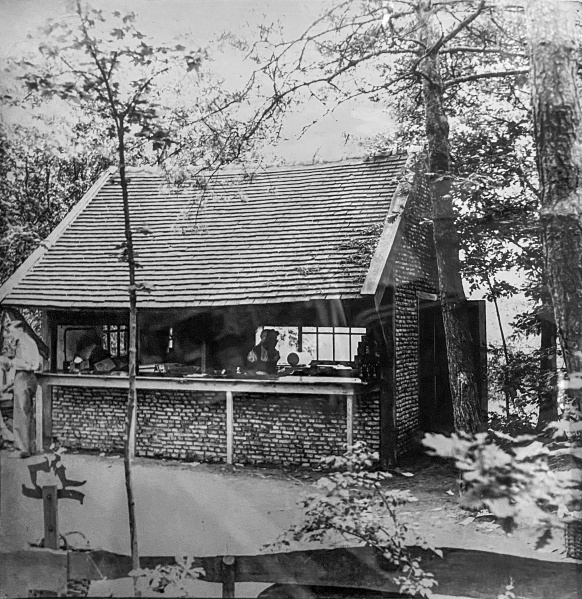 Bestand:Noordpool-vroegah.jpg