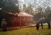 Manege beheerd door familie Gabriëls, <a href="/lemma/Rijsporthoeve_De_Efteling" title="Rijsporthoeve De Efteling">Rijsporthoeve De Efteling</a> - Foto: Gerard Zijlmans {{intern|gebruikt met toestemming}}