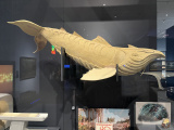 Model van de Fabelvis van het <a href="/lemma/Botanicum" title="Botanicum">Botanicum</a> in Symbolica in het Noordbrabants Museum in 2022 - Foto: Eftepedia
