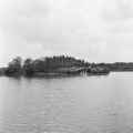 De <a href="/lemma/Siervijver" title="Siervijver">Siervijver</a>, juni <span class="redlink">1958</span>.