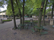 Zitjes rondom boomstammen tegenover <a href="/lemma/In_de_Gelaarsde_Kat" title="In de Gelaarsde Kat">In de Gelaarsde Kat</a>, 2009