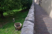 Foto uit <span class="redlink">2009</span>