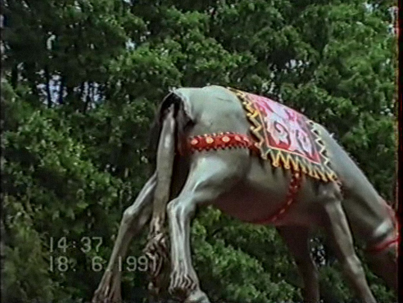 Bestand:Ezelanus1991.jpg