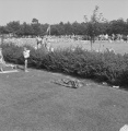 Collectie Heidemij augustus 1961
