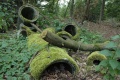 Terrein van voormalig bungalowpark <a href="/lemma/Het_Kraanven" title="Het Kraanven">Het Kraanven</a>, zomer 2009