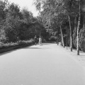 Berkenlaan naar het kasteel van <a href="/lemma/Doornroosje" title="Doornroosje">Doornroosje</a>, eerste poortje en nog geen route om het kasteeltje heen, gezien vanaf de <a href="/lemma/Heksenpoort" title="Heksenpoort">Heksenpoort</a>, augustus <a href="/lemma/1961" title="1961">1961</a>.